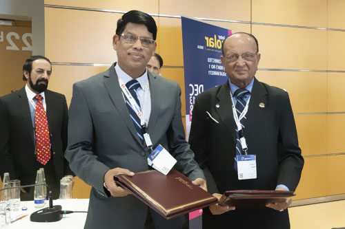 到2030年全球太陽(yáng)能理事會(huì)計(jì)劃實(shí)現(xiàn)1萬(wàn)億個(gè)迷你電網(wǎng)